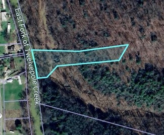 18384 E Lynn Rd, East Lynn, WV 25512