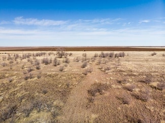0 County Road M, Hale Center, TX 79041