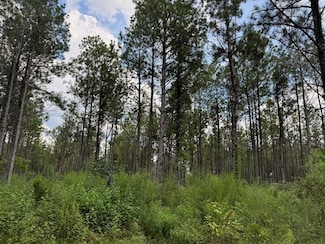 0 Graves Rd Unit 21566343, Liberty, MS 39645