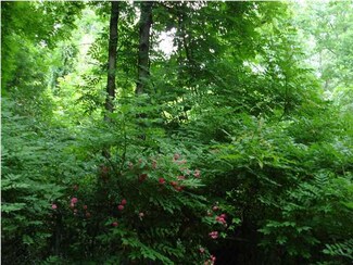 83 Scout St, Menlo, GA 30731