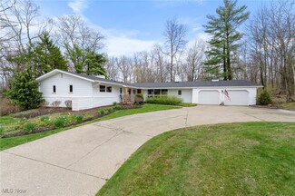 3339 Forest Lake Dr, Medina, OH 44256