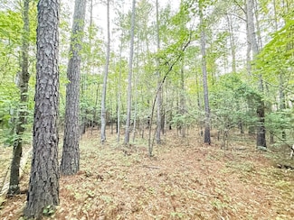 Tbd Grants Mill Rd W Unit LotWP001, Bennettsville, SC 29512