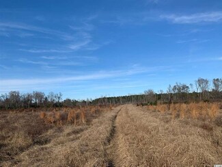 lot G Old Flowers Rd, Hemingway, SC 29554