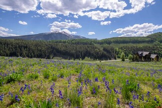 67 Castle Rock Ct, Crested Butte, CO 81224