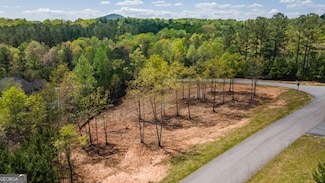 LOT 41 Sandy Lake Ln, Blairsville, GA 30512