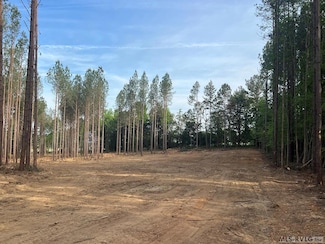 Lot B Hayes Mill Rd, Baskerville, VA 23915