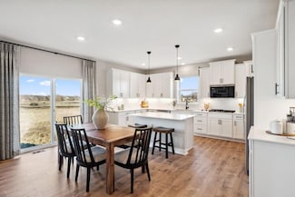 3949 Founders Path, Chaska, MN 55318