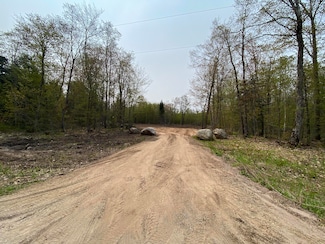 10 Acres Brasser, Sugar Island, MI 49783