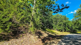 Lot #253 Grand Cove Rd, Jasper Township, MO 65079