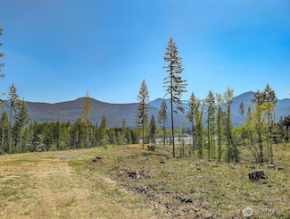0 Craig Rd Unit Lot A2 NWM2382822, Packwood, WA 98361
