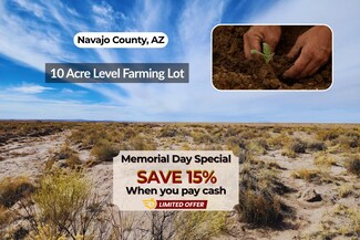 N N Porter Rd, Joseph City, AZ 86032