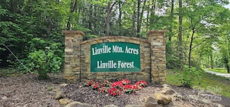 TBD Ridge Cove Dr Unit 54 & 55, Marion, NC 28752