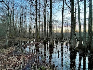 0 Louisiana 582, Forest, LA 71242