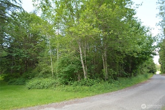 0 37th Ave NW, Lake Goodwin, WA 98271