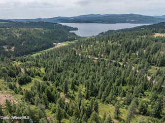 15040 S Bench Rd, Harrison, ID 83833