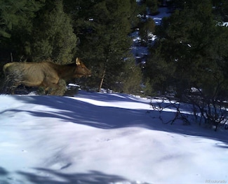 22738 County Road M 5, San Luis, CO 81152