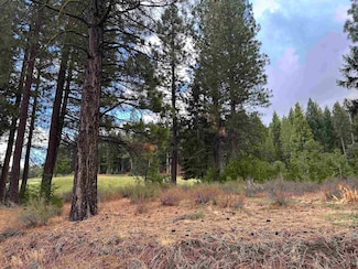 1348 Red Sky, Portola, CA 96122
