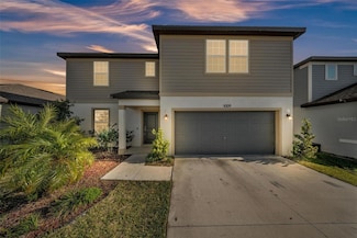 1009 Golden Shiner Ave, Ruskin, FL 33570