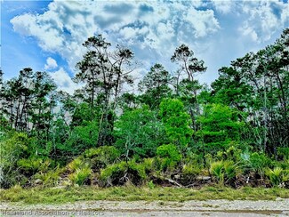 814 Wildflower St, Lake Placid, FL 33852