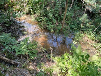 0 County Road 217, Clopton, AL 36317