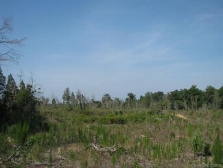 9 Ac Secret Dr, Edgemoor, SC 29712