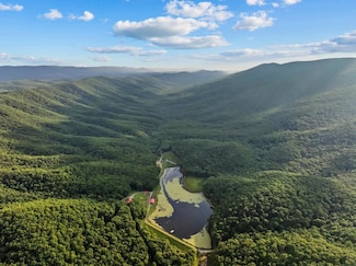 1071 Lodge Dr, Bastian, VA 24314