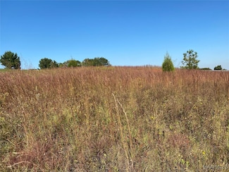 TBD County Road 537, Enterprise, AL 36330