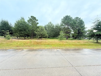 41 County Road 3410, Cleveland, TX 77327