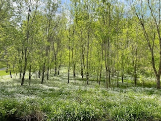 0 Austin Hollow Rd Unit 1 22682973, Pleasant Shade, TN 37145