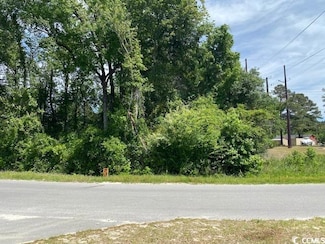 TBD Liz Ln, Conway, SC 29527