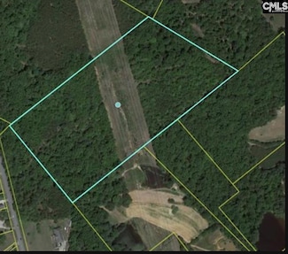 E/S E Dreher Shoals Rd, Irmo, SC 29063