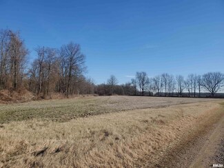 S35 Farm Rd, Ullin, IL 62992