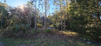 7784 W Twin Canal Ln, Homosassa, FL 34448