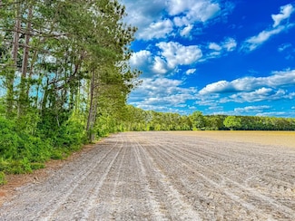 0 Tbd Sandhill Rd Unit LotWP00B, Marion, SC 29571