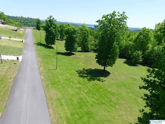 45 Tara Dr, Guntersville, AL 35976