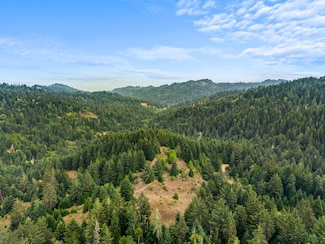000 Williams Creek Rd, Ferndale, CA 95536