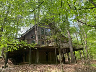 6824 Oakley Palestine Rd, Terry, MS 39170