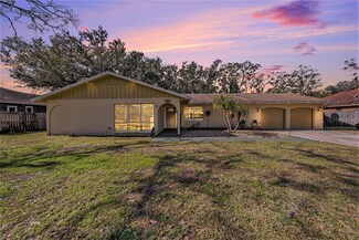 3245 Canal Place, Land O Lakes, FL 34639