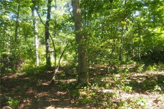 1 Pinnacle Lake Rd, New Florence, MO 63363
