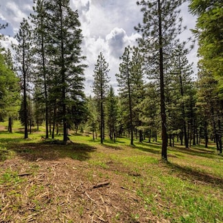 Lot 19 To Be Determined Unit 19, McCall, ID 83638