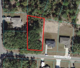00 Fisher Loop Course, Ocklawaha, FL 32179