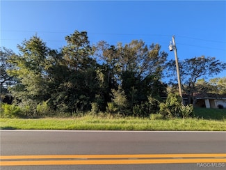 3072 E Dawson Dr, Inverness, FL 34453