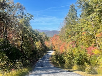 lot 46 Bald Eagle Ln Unit 46, Marion, NC 28752