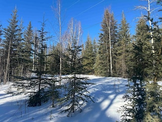 L64 Placer Ln, Delta Junction, AK 99737