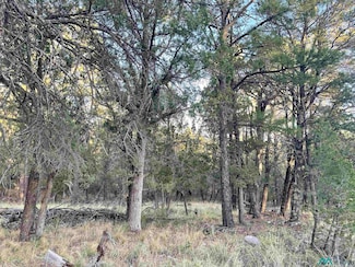 103 Keats Dr, Timberon, NM 88350