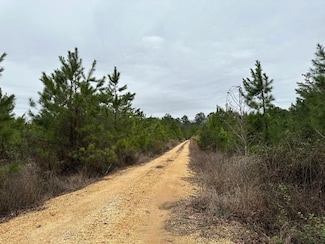 0 Grant County Road 138, Sheridan, AR 72150
