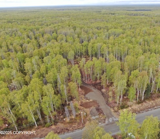 36534 Longbranch St, Susitna North, AK 99676