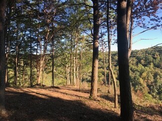 321 Timberwood Trace, Monteagle, TN 37356