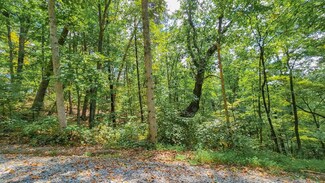 0 Ruby Ridge Dr Unit 127649, Talking Rock, GA 30175
