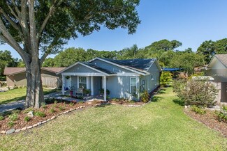 832 Greenfield Dr, Palm Harbor, FL 34684